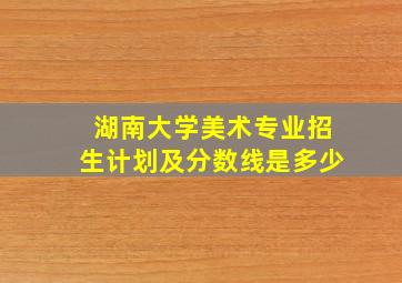 湖南大学美术专业招生计划及分数线是多少