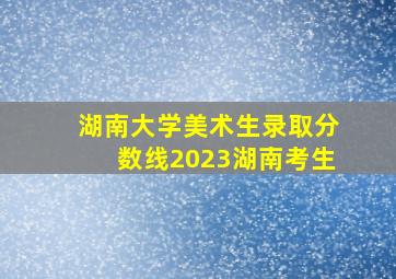 湖南大学美术生录取分数线2023湖南考生