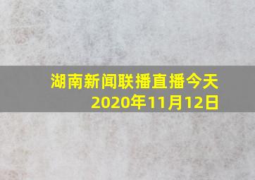 湖南新闻联播直播今天2020年11月12日