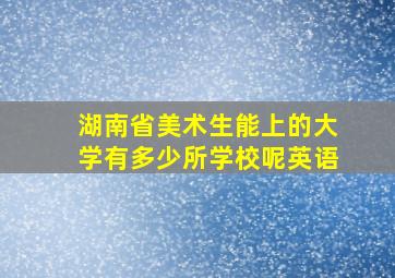 湖南省美术生能上的大学有多少所学校呢英语