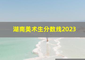 湖南美术生分数线2023