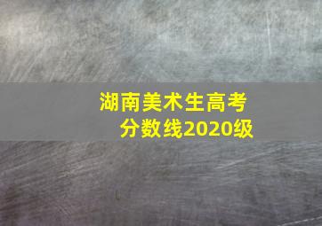 湖南美术生高考分数线2020级