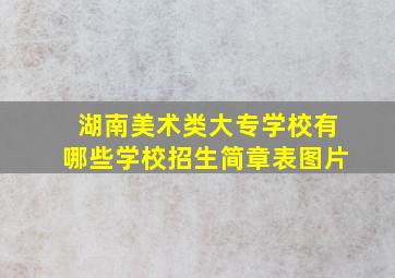 湖南美术类大专学校有哪些学校招生简章表图片