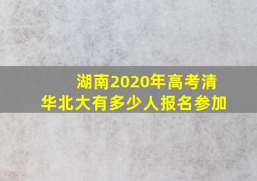 湖南2020年高考清华北大有多少人报名参加