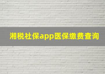 湘税社保app医保缴费查询