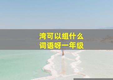 湾可以组什么词语呀一年级