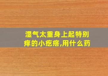 湿气太重身上起特别痒的小疙瘩,用什么药