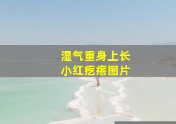 湿气重身上长小红疙瘩图片