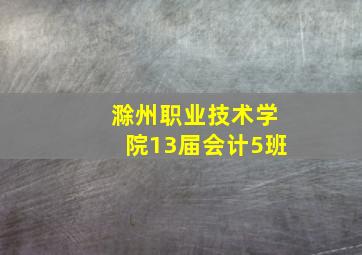 滁州职业技术学院13届会计5班