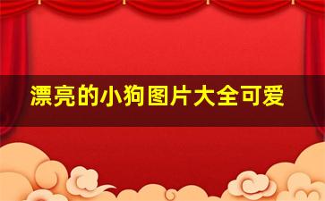 漂亮的小狗图片大全可爱