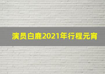 演员白鹿2021年行程元宵