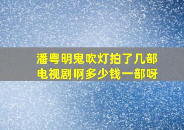 潘粤明鬼吹灯拍了几部电视剧啊多少钱一部呀