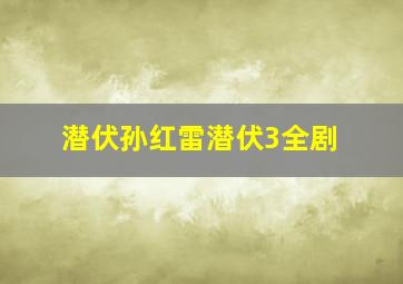 潜伏孙红雷潜伏3全剧