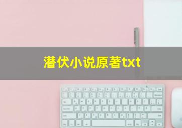 潜伏小说原著txt