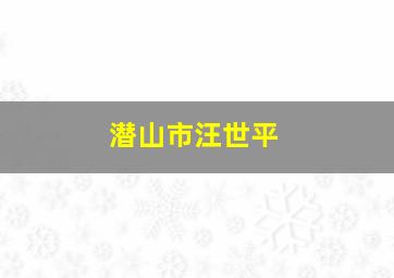 潜山市汪世平