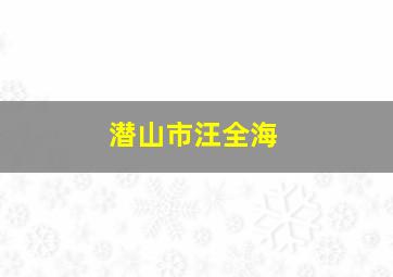 潜山市汪全海