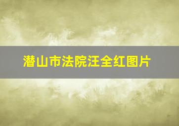 潜山市法院汪全红图片