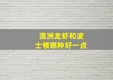 澳洲龙虾和波士顿哪种好一点