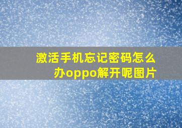 激活手机忘记密码怎么办oppo解开呢图片