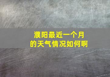 濮阳最近一个月的天气情况如何啊