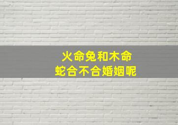 火命兔和木命蛇合不合婚姻呢