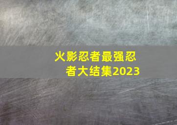 火影忍者最强忍者大结集2023