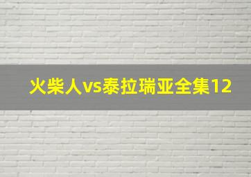 火柴人vs泰拉瑞亚全集12