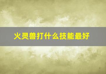 火灵兽打什么技能最好