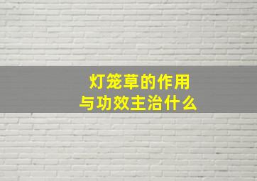 灯笼草的作用与功效主治什么