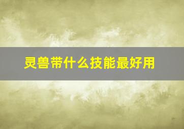 灵兽带什么技能最好用