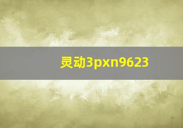 灵动3pxn9623