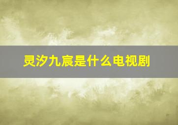 灵汐九宸是什么电视剧