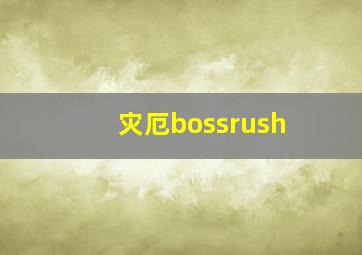 灾厄bossrush