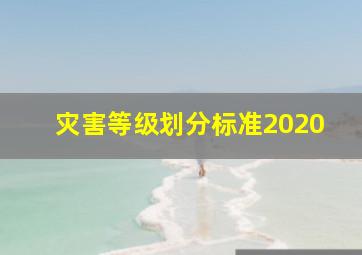 灾害等级划分标准2020