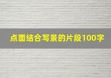 点面结合写景的片段100字