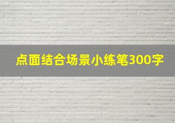 点面结合场景小练笔300字