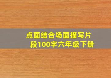 点面结合场面描写片段100字六年级下册