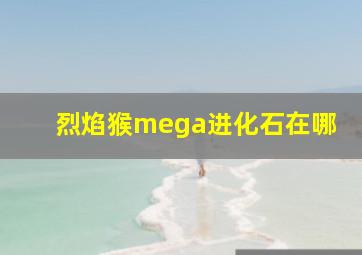 烈焰猴mega进化石在哪