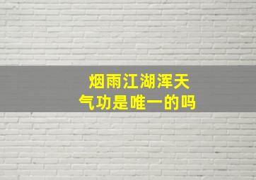 烟雨江湖浑天气功是唯一的吗