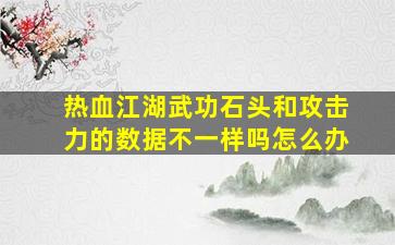 热血江湖武功石头和攻击力的数据不一样吗怎么办