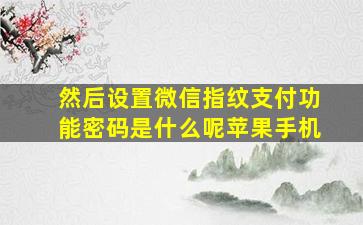 然后设置微信指纹支付功能密码是什么呢苹果手机