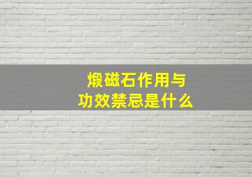 煅磁石作用与功效禁忌是什么