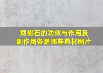 煅磁石的功效与作用及副作用各是哪些药材图片