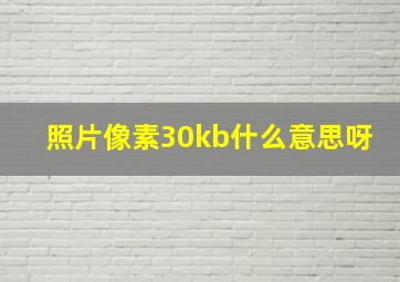 照片像素30kb什么意思呀