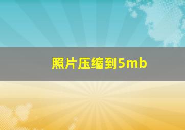 照片压缩到5mb