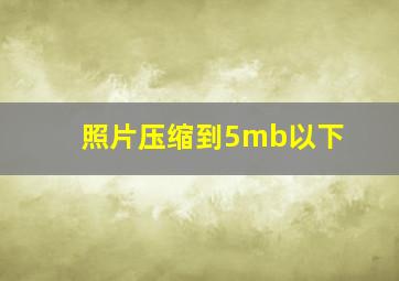 照片压缩到5mb以下