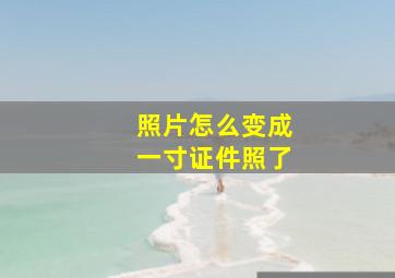 照片怎么变成一寸证件照了