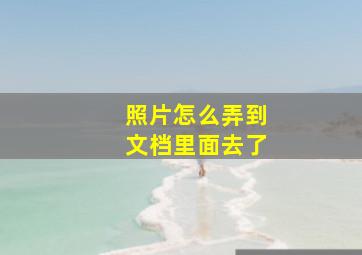 照片怎么弄到文档里面去了