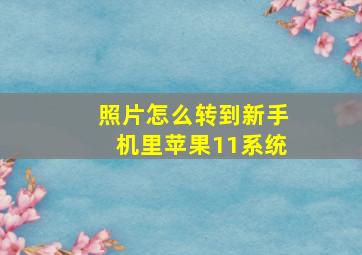 照片怎么转到新手机里苹果11系统