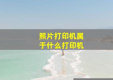 照片打印机属于什么打印机